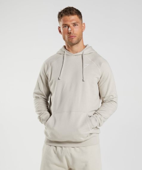 Men's Gymshark Crest Hoodie Light Grey | NZ 4EGVQT